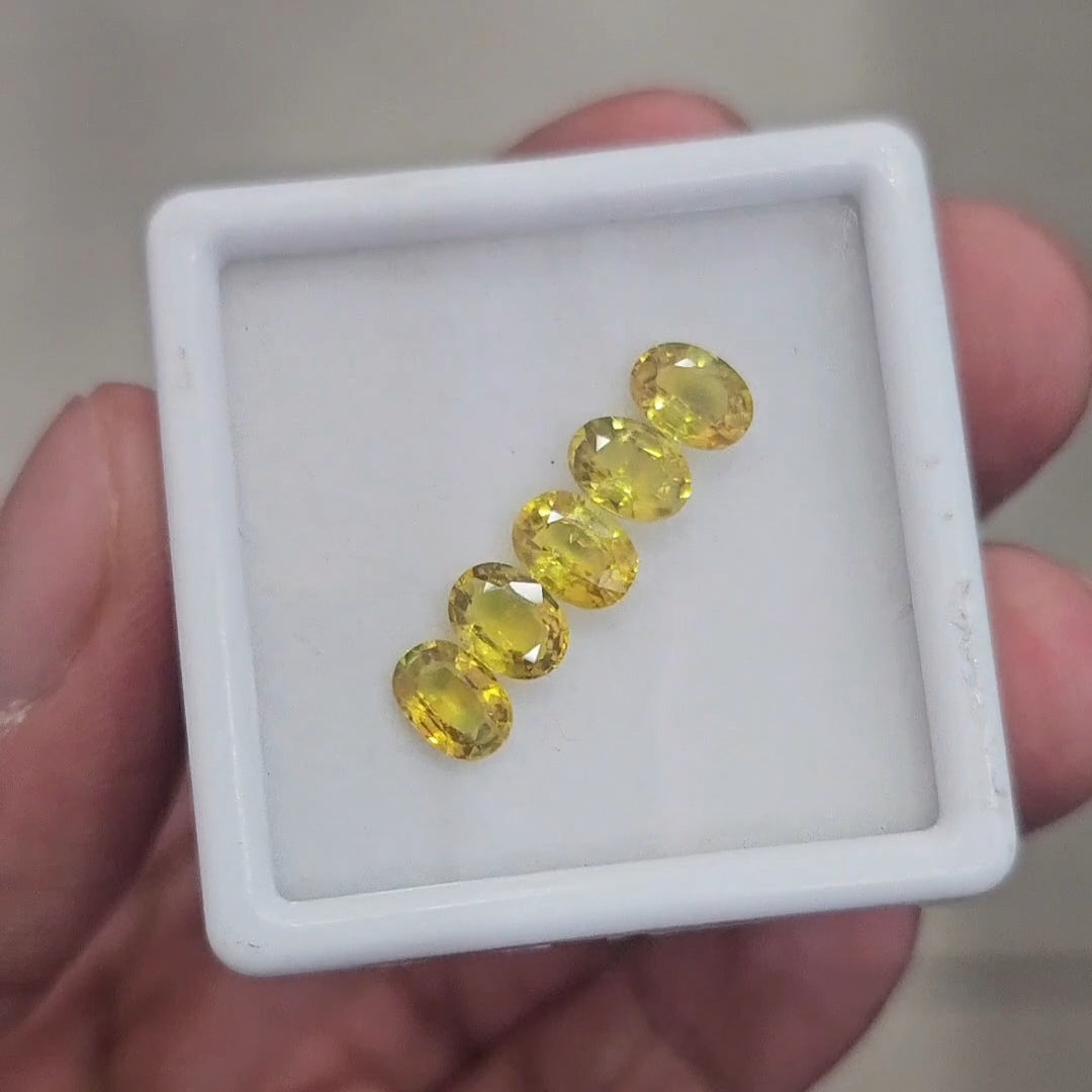 5Pcs of Natural Yellow Sapphire Faceted | Oval | Size: 7x5mm - The LabradoriteKing