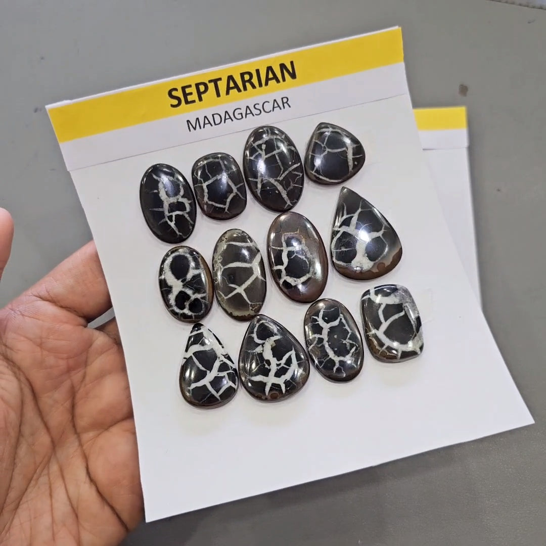 1 Card of Natural Septarian Cabochons | 22–38mm | Flashy Quality Gemstones