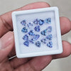 18 Pcs Of Natural Unheated Tanzanite Faceted | Shape: Trillion | Size: 6mm