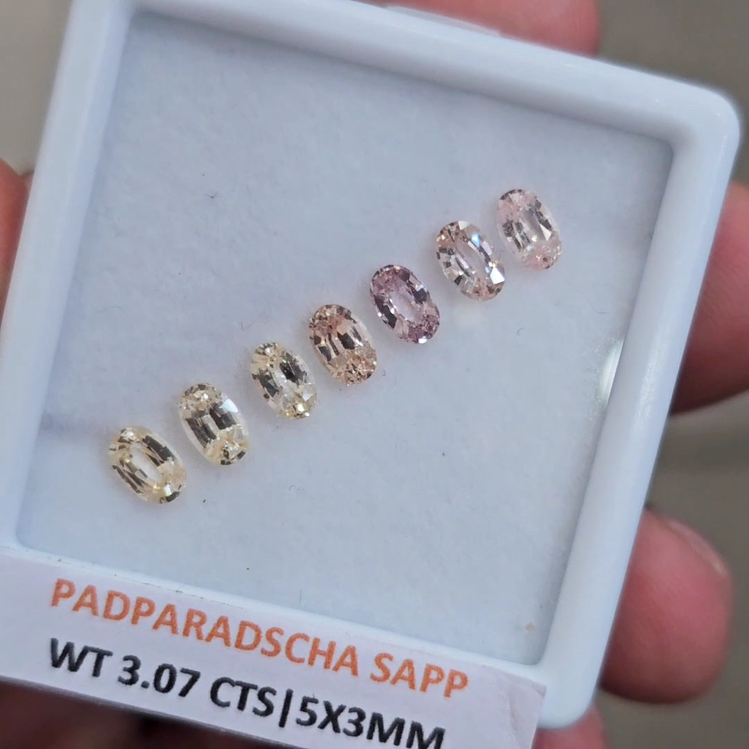 1 Box Natural Unheated Padparadscha Sapphire  | 5x3mm | Oval
