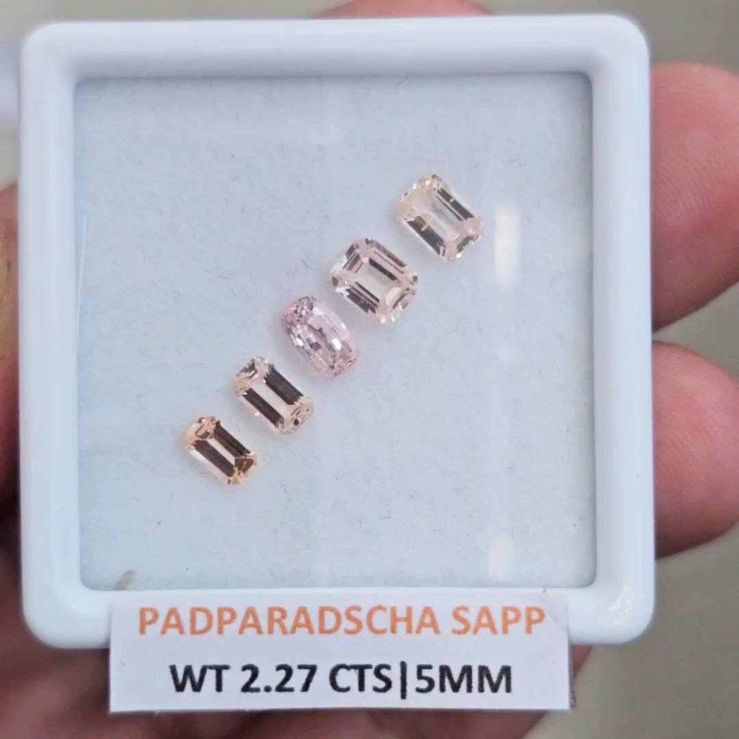 1 Box Natural Unheated Padparadscha Sapphire  | 5mm | Rectangle