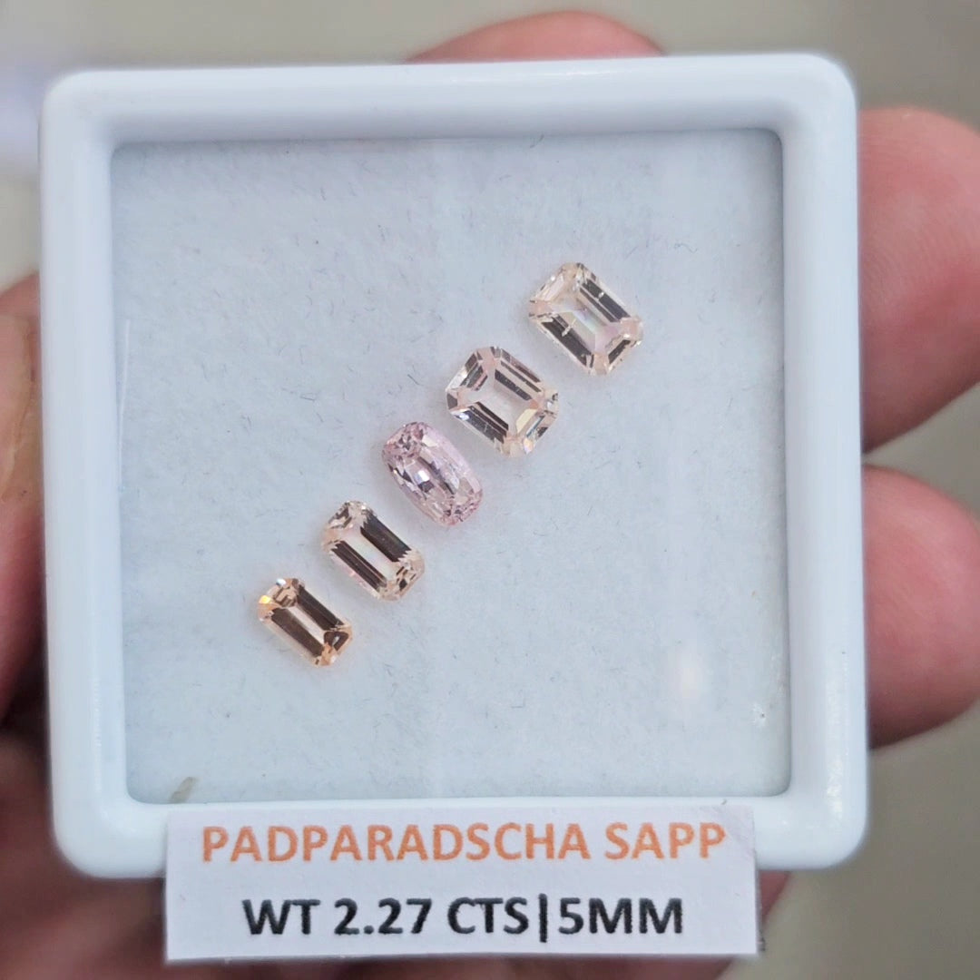 1 Box Natural Unheated Padparadscha Sapphire  | 5mm | Rectangle