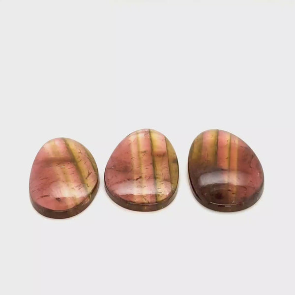 3 Pcs Of Natural Watermelon Tourmaline Slice | Size:29x19mm | With Certificate