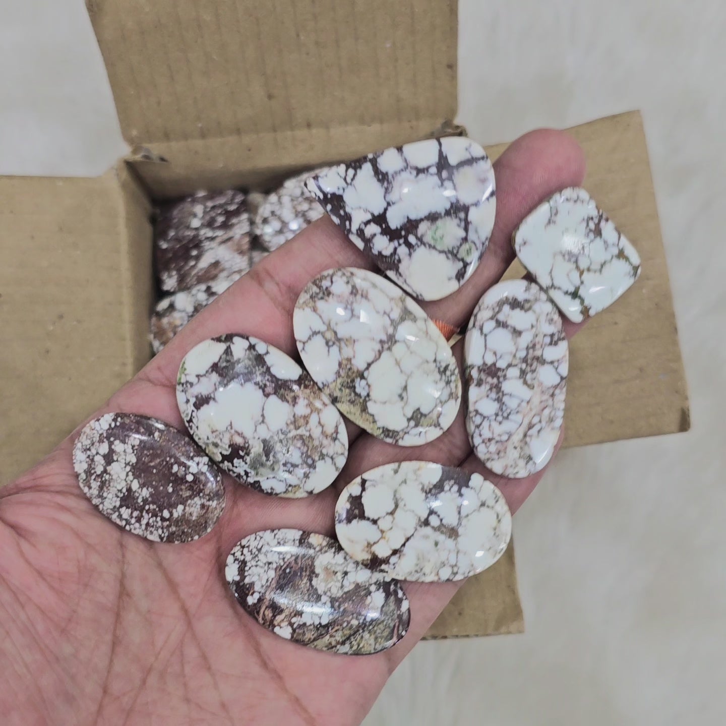 500 Grams of Wild Horse Cabochons | 40-50 pcs Approx | 1 Inch to 3 Inch
