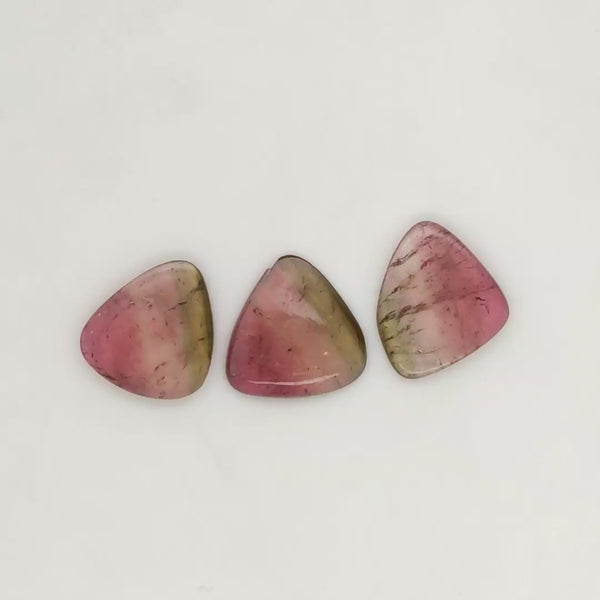 3 Pisc Of Natural Watermelon Tourmaline Slice | Size:17-19mm | With Certificate