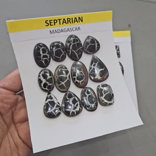 1 Card of Natural Septarian Cabochons | 22–38mm | Flashy Quality Gemstones