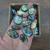 Load and play video in Gallery viewer, 100 Pcs of Multi Fire Labradorite Cabochon | 20mm to 30mm | Flash in all Pieces