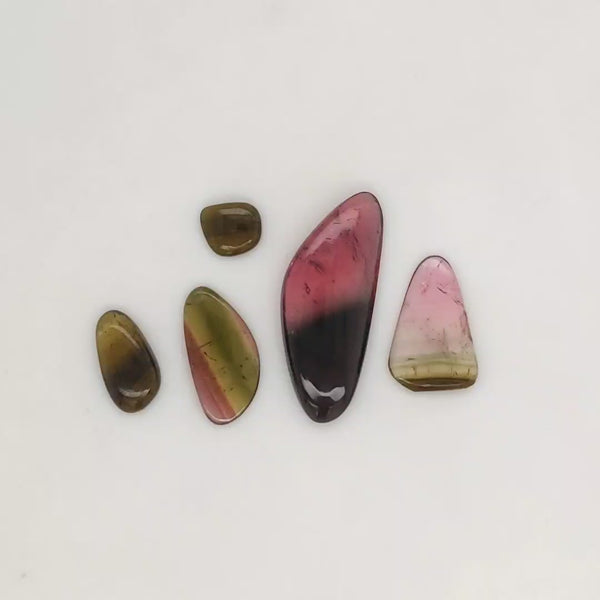 5 Pisc Of Natural Watermelon Tourmaline Slice | Size:7-27mm | With Certificate