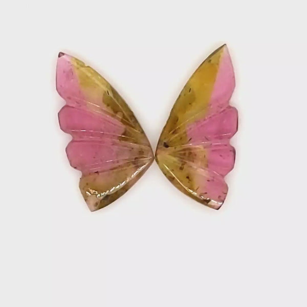 Natural Watermelon Tourmaline Butterfly Carved Pair | Size:16x8mm