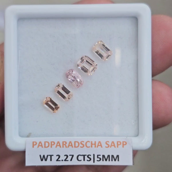 1 Box Natural Unheated Padparadscha Sapphire  | 5mm | Rectangle