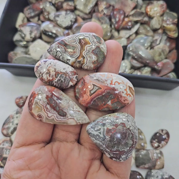 500 Grams of Natural Mexican Crazy Lace Agate Cabochons | 22–45mm | 50–70 Pcs