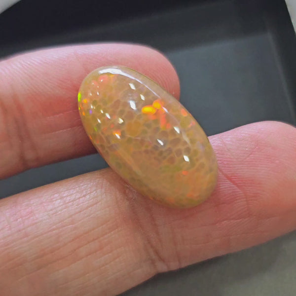 Natural Ethiopian Opal Cabochon Multi Fire | Oval | Size: 24x13mm | 14.9Cts
