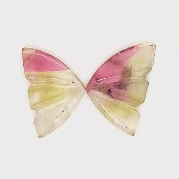 Natural Watermelon Tourmaline Butterfly Carved Pair | Size:13x8mm