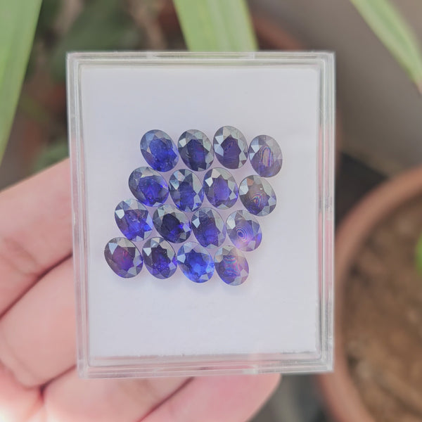 16 Pcs Of Natural Blue Sapphire Faceted |Oval | Size:8x6mm