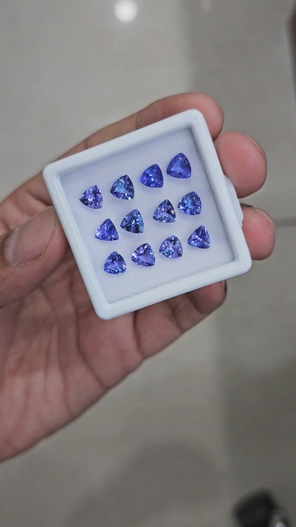 12Pcs Natural Tanzanite Faceted  | Trillion | Size: 6mm