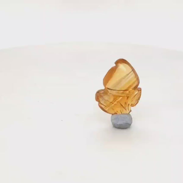 1 Pieces Natural Citrine carved Apple Shape | Size:19x14mm