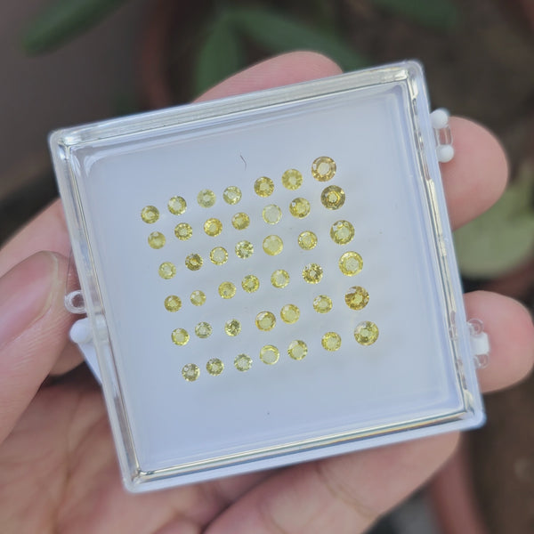 42 Pcs Of Natural Yellow Sapphires Faceted | Round Shape  | Size:2-4mm