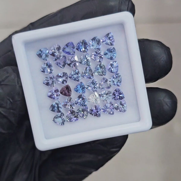 36 Pcs Of Natural Unheated Tanzanite  Faceted | Shape: Trillion | Size: 4.50mm