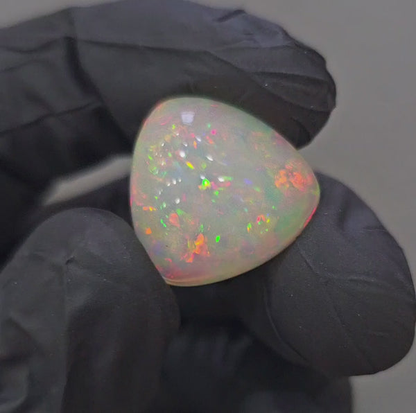 Natural Ethiopian Opal Cabochon Multi Fire | Trillion| Size: 18mm | 14.4Cts