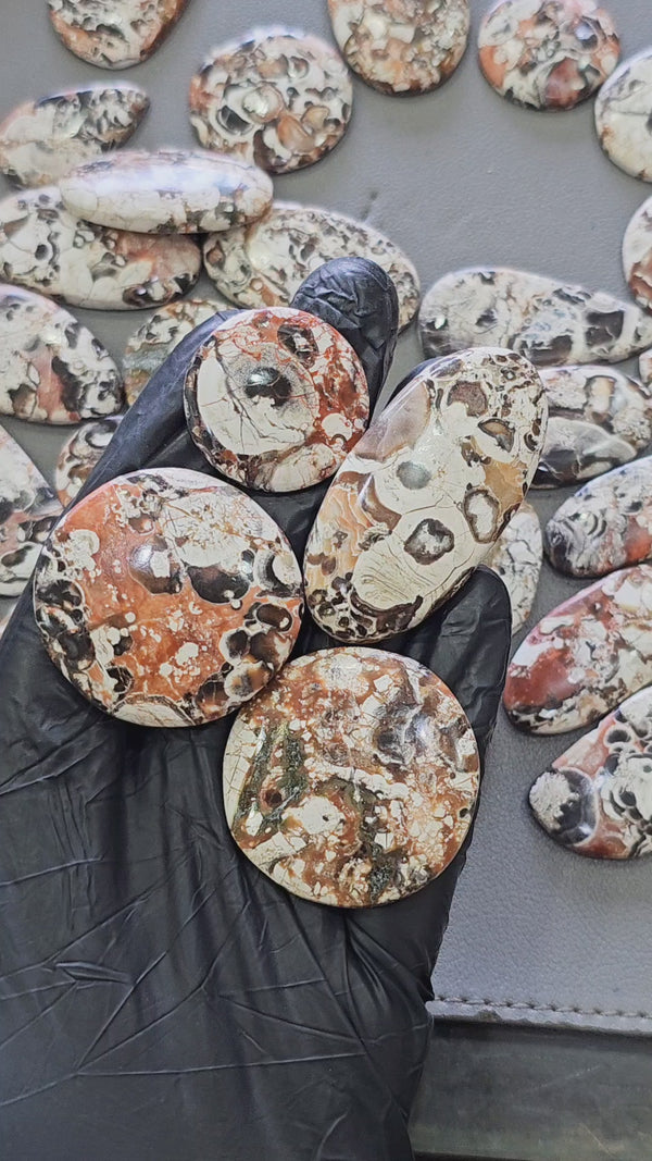 100 Grams Natural Mushroom Jasper Cabochons | 25–50mm | 10 Pcs Approx | Top Quality