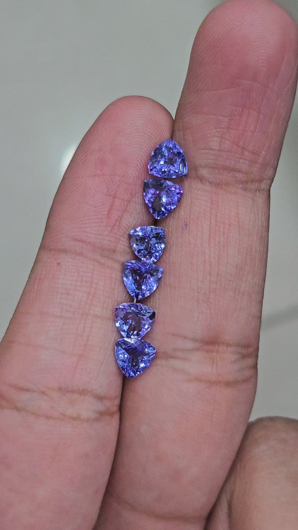 2 Pcs of Tanzanite 6mm Trillion | AAA Quality