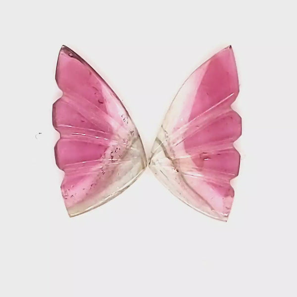 Natural Watermelon Tourmaline Butterfly Carved Pair | Size:16x8mm