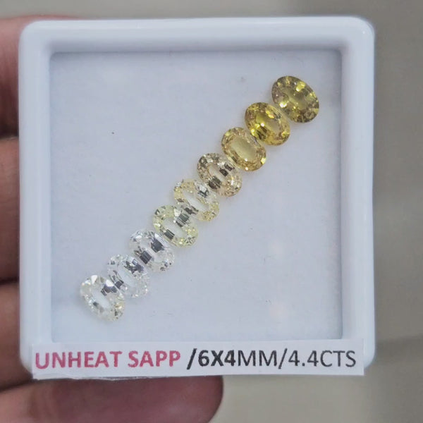 Box Of Natural Sri Lanka Unheated Sapphire  | 6x4mm | Oval