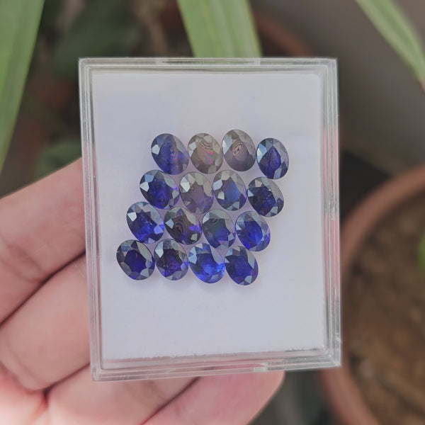 16 Pcs Of Natural Blue Sapphire Faceted |Oval | Size:8x6mm