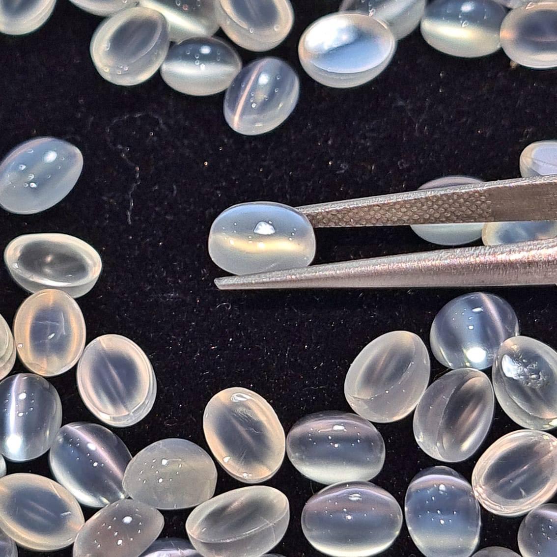 10 Pcs of Cats eye Moonstone 8x6mm | AAAA Quality - The LabradoriteKing