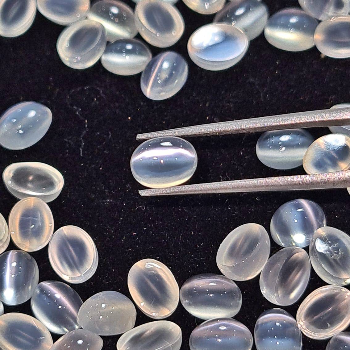 10 Pcs of Cats eye Moonstone 8x6mm | AAAA Quality - The LabradoriteKing