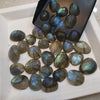 12 Pcs Natural Labradorite Rosecuts 12-18mm - The LabradoriteKing