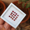16 Pcs Untreated Natural Spinel Faceted Gemstone Size 5-6mm Origin Burma - The LabradoriteKing
