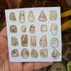 20 Pcs Natural Rutile Quartz Faceted Gemstones | Fancy Shape, Sizes: 11-21mm - The LabradoriteKing