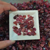 Load image into Gallery viewer, 20 Pcs Rubellite Pink Tourmaline | Rich Quality Raw Stones - The LabradoriteKing