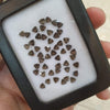 20 Pcs Smoky Quartz 4mm Trillion Cut Calibrated - The LabradoriteKing