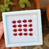 10 Pcs Natural Garnet Faceted Gemstones Pear Shape, 6x9mm Gems Lot - The LabradoriteKing