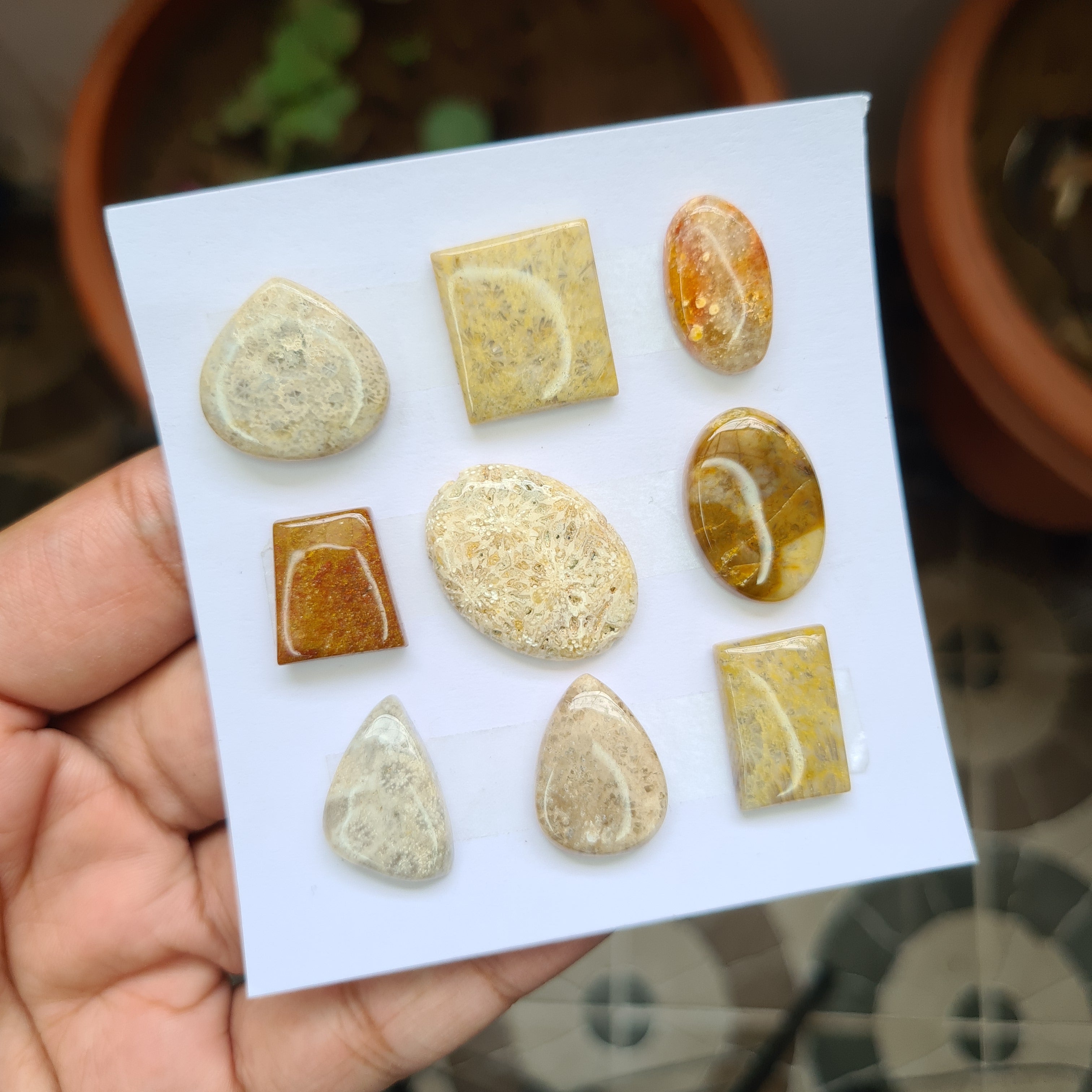 9 Pcs Natural Jasper Cabochon Gemstones | Mix Shape, 16-27mm Size, - The LabradoriteKing