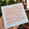 25 Pieces Natural Rose Quartz Cabochon Gmestone Fancy Shape Size: 14-22mm - The LabradoriteKing