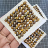 1 Set Natural Tiger Eye Cabochon Mix Shape Size: 5-12mm - The LabradoriteKing