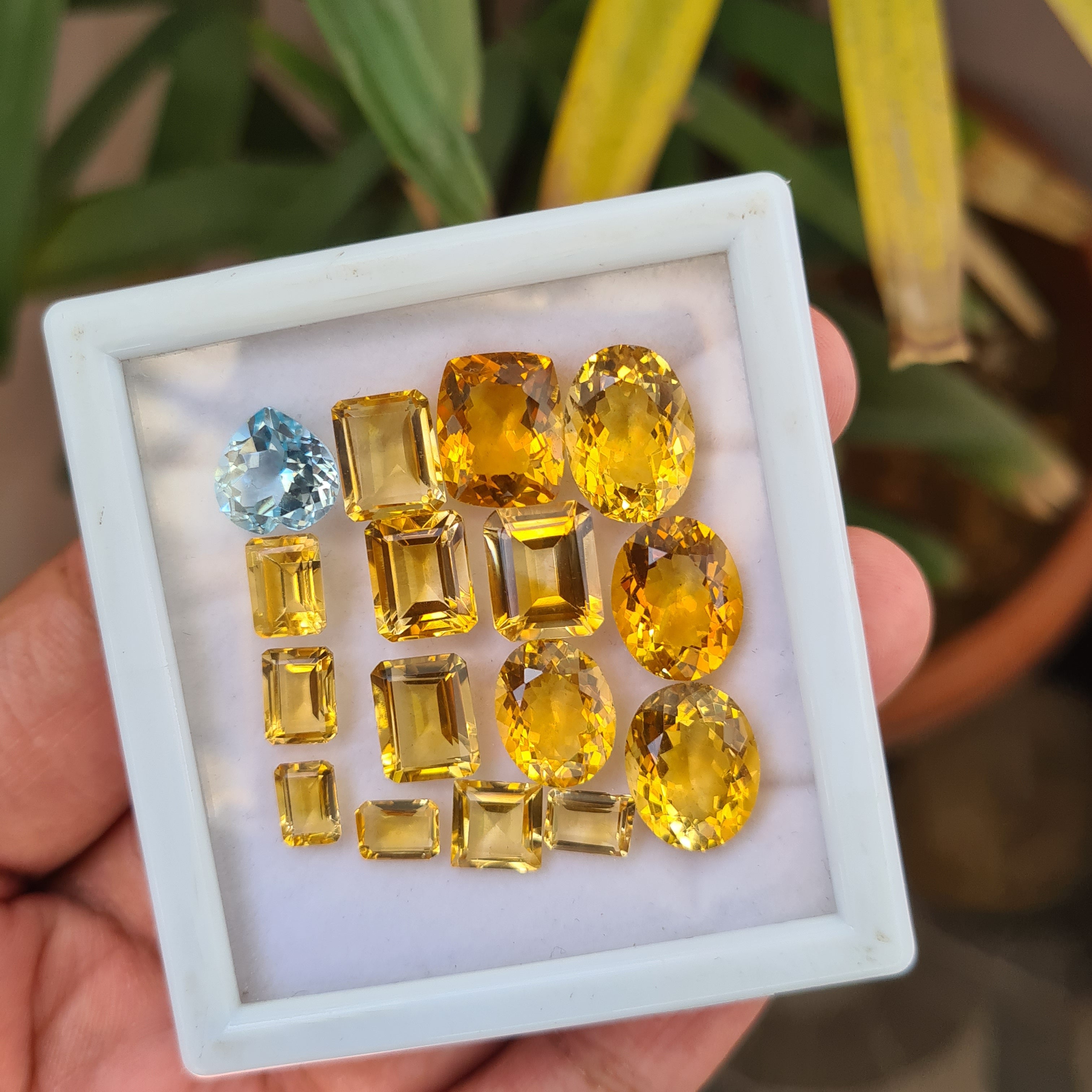 16 Pieces Natural Citrine Faceted Gemstone Mix Shape | Size: 7-14mm - The LabradoriteKing