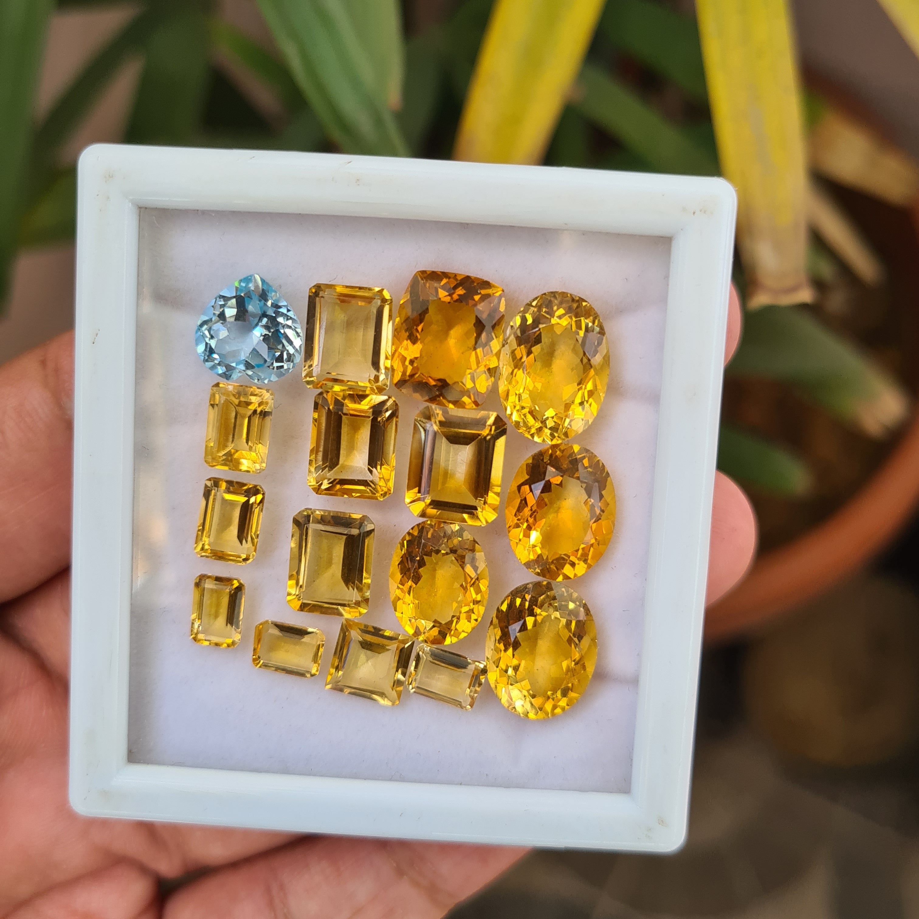 16 Pieces Natural Citrine Faceted Gemstone Mix Shape | Size: 7-14mm - The LabradoriteKing