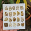 Load image into Gallery viewer, 1 Card 20 Pieces Rutile Rosecut Gemstone Fancy cut Shape | Size: 16-21mm - The LabradoriteKing