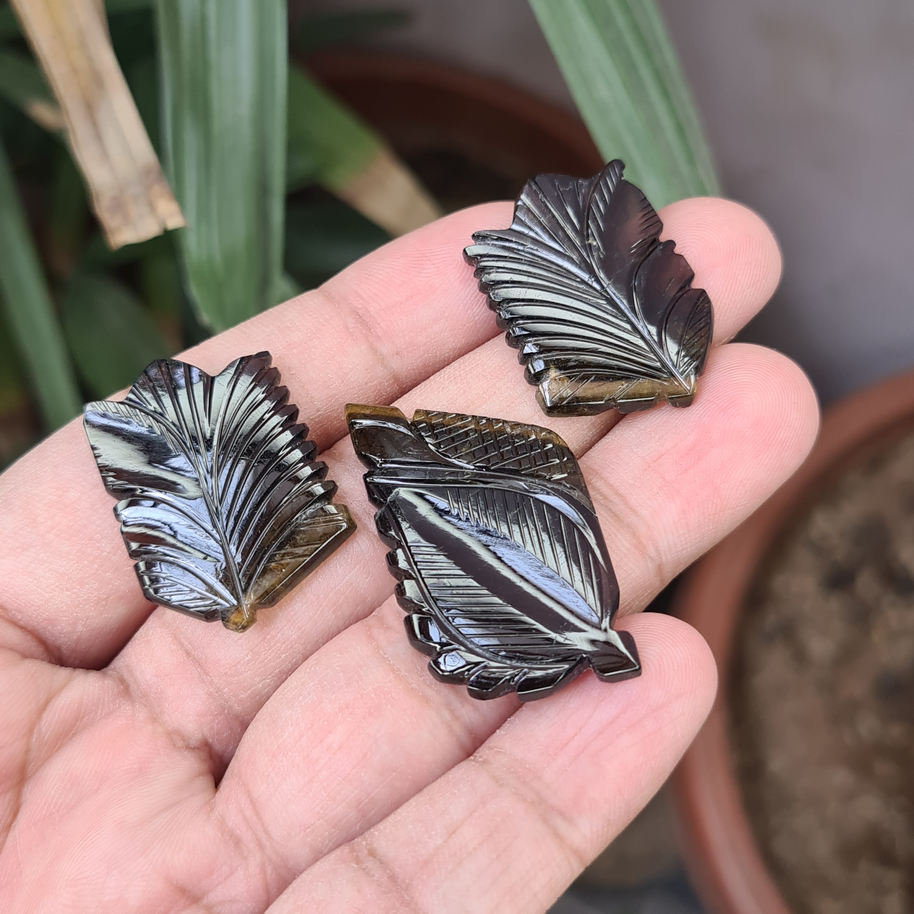 3 Pieces Natural Tourmaline Leaf Carved Gemstone Size: 32-44 | 84 Cts - The LabradoriteKing