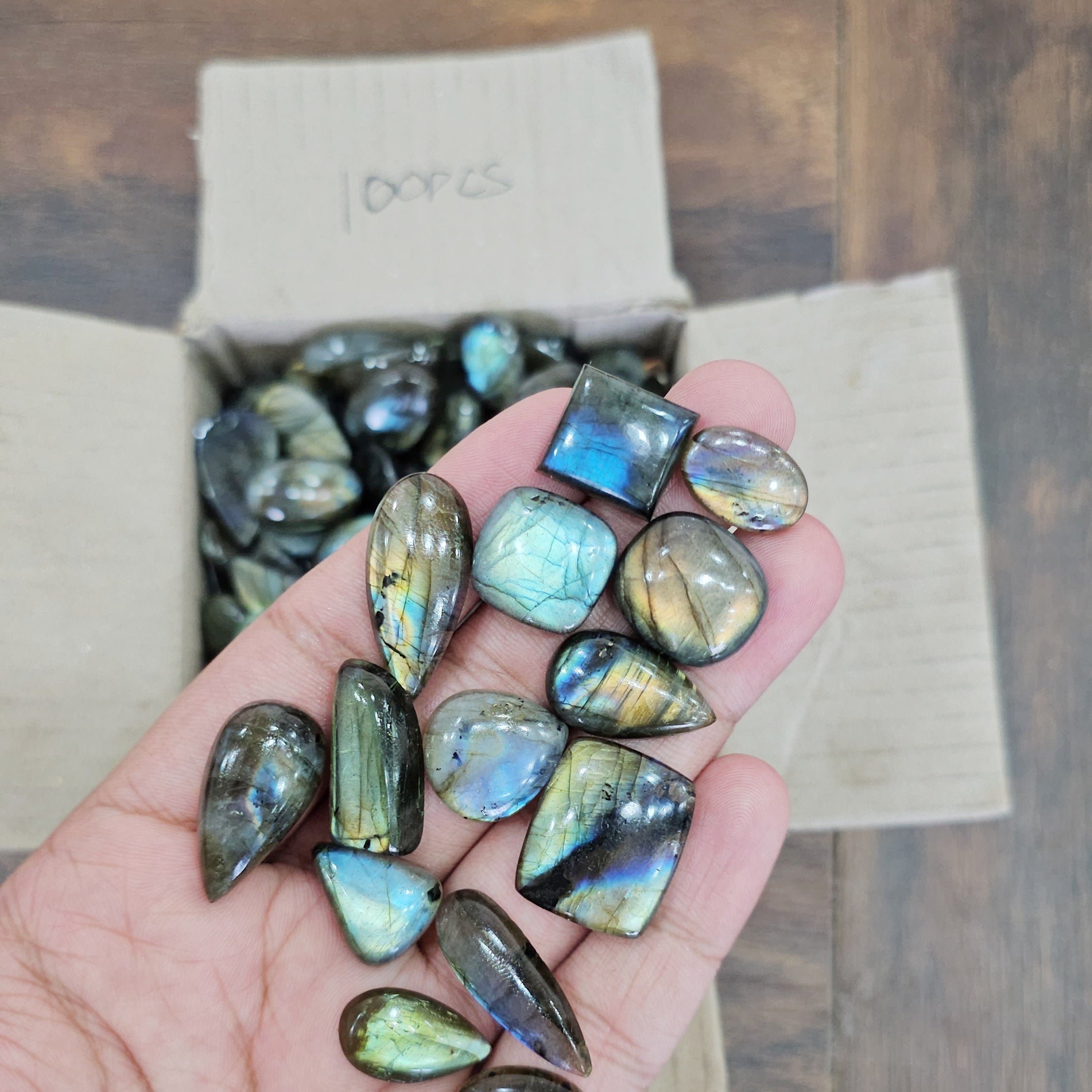 100 Pcs of Labradorite Cabochon | 15mm to 25mm | Flash in all Pieces - The LabradoriteKing