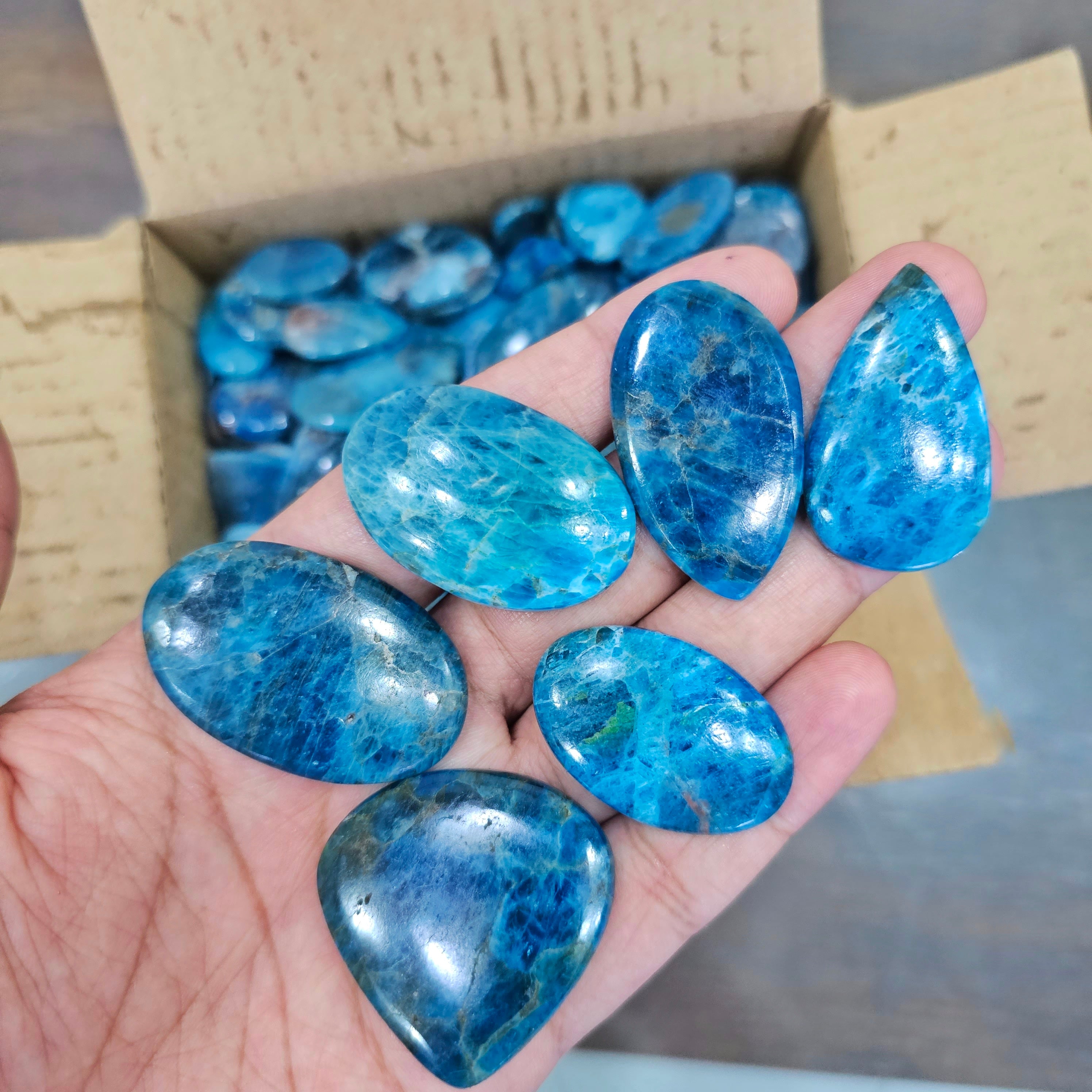 500 Grams of Apatite blue Cabochons | 1-3" Inches | 60 Pcs Approx - The LabradoriteKing
