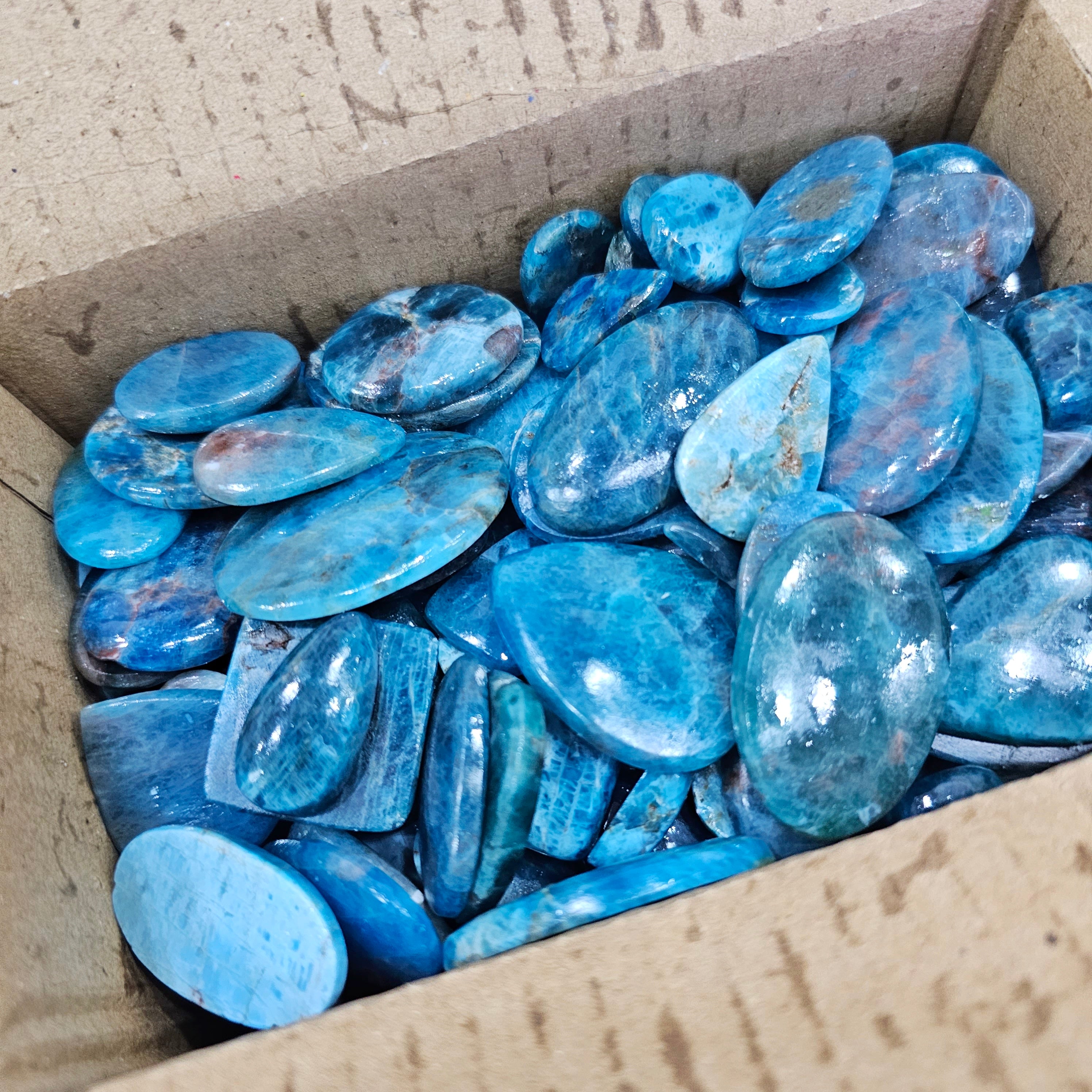 500 Grams of Apatite blue Cabochons | 1-3" Inches | 60 Pcs Approx - The LabradoriteKing