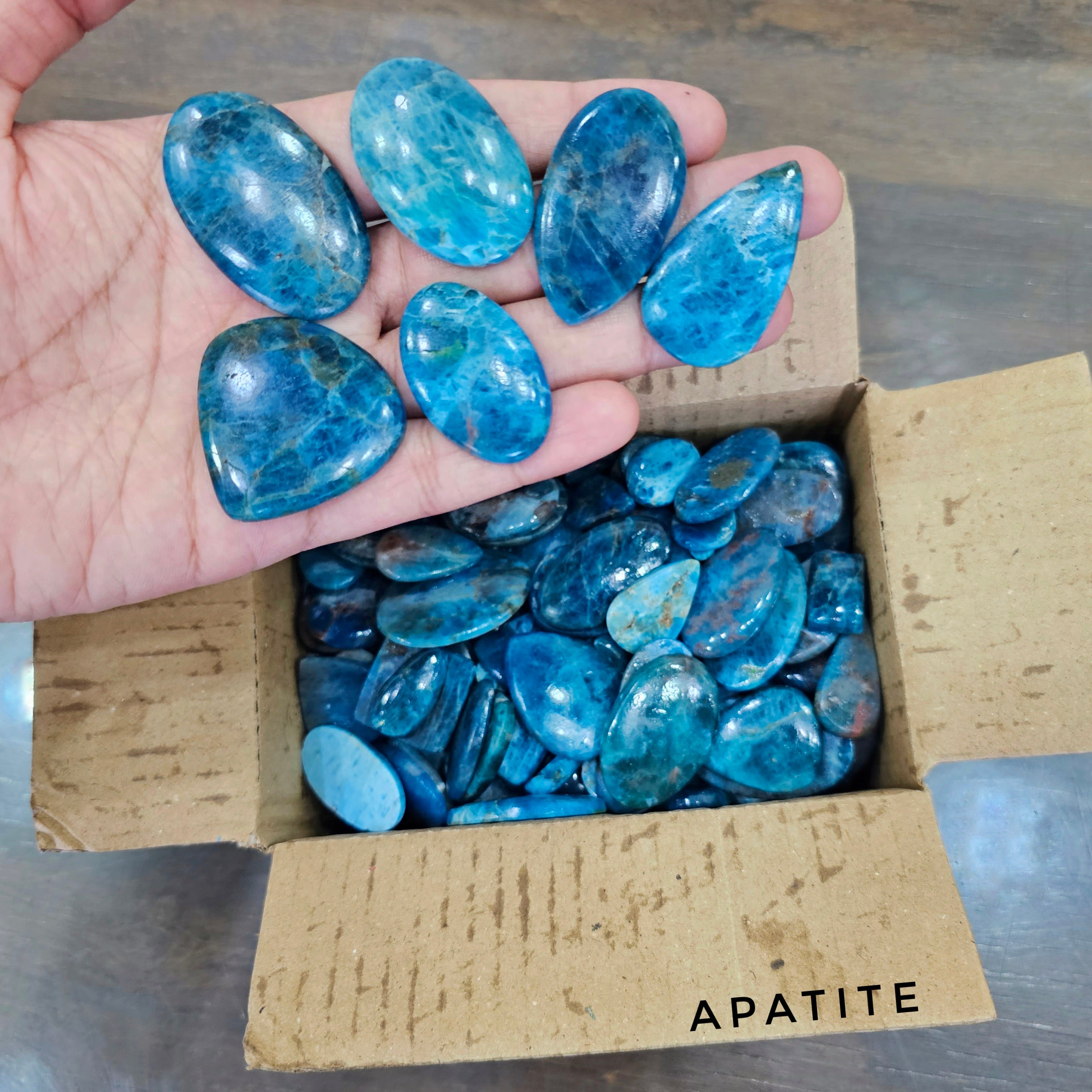 500 Grams of Apatite blue Cabochons | 1-3" Inches | 60 Pcs Approx - The LabradoriteKing