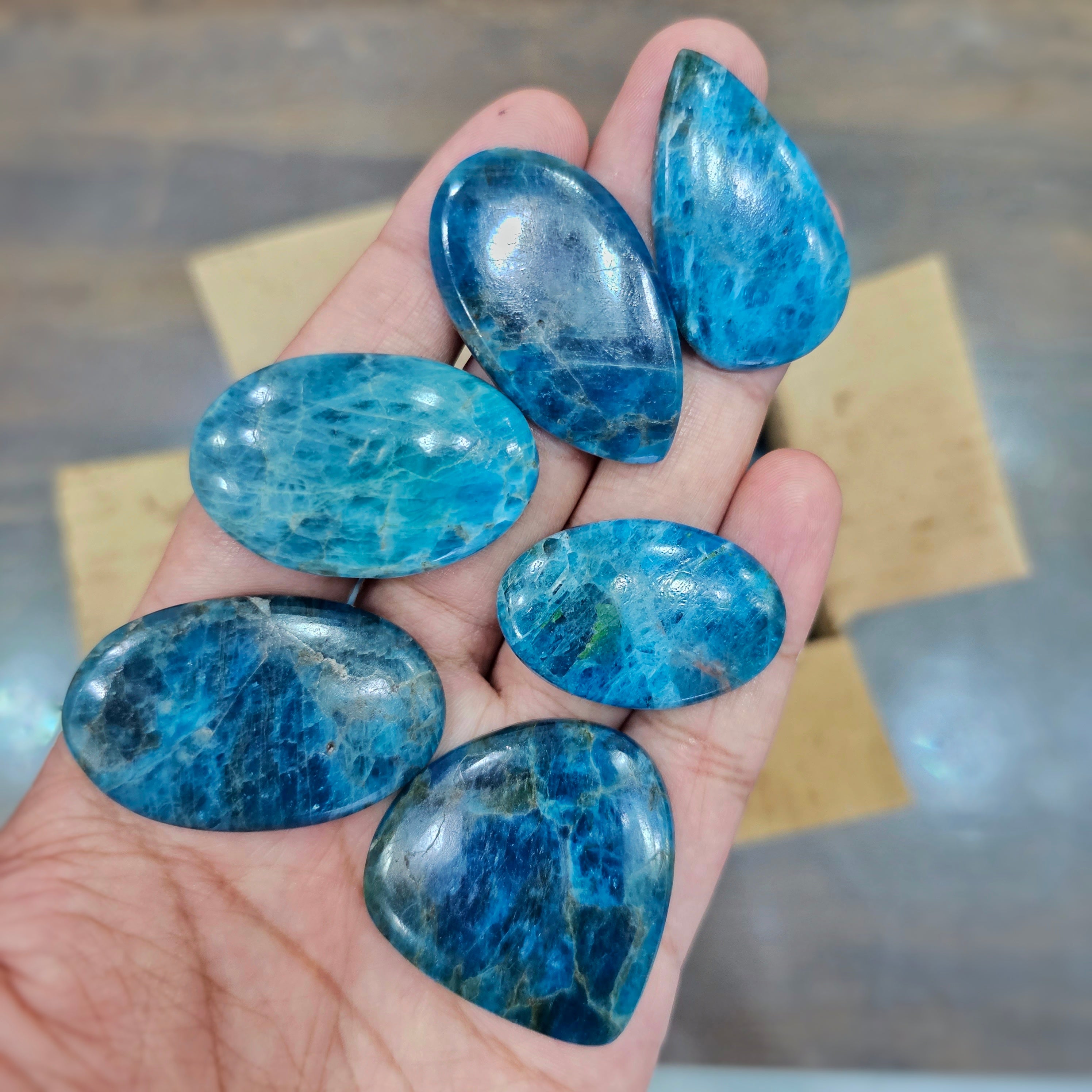 500 Grams of Apatite blue Cabochons | 1-3" Inches | 60 Pcs Approx - The LabradoriteKing