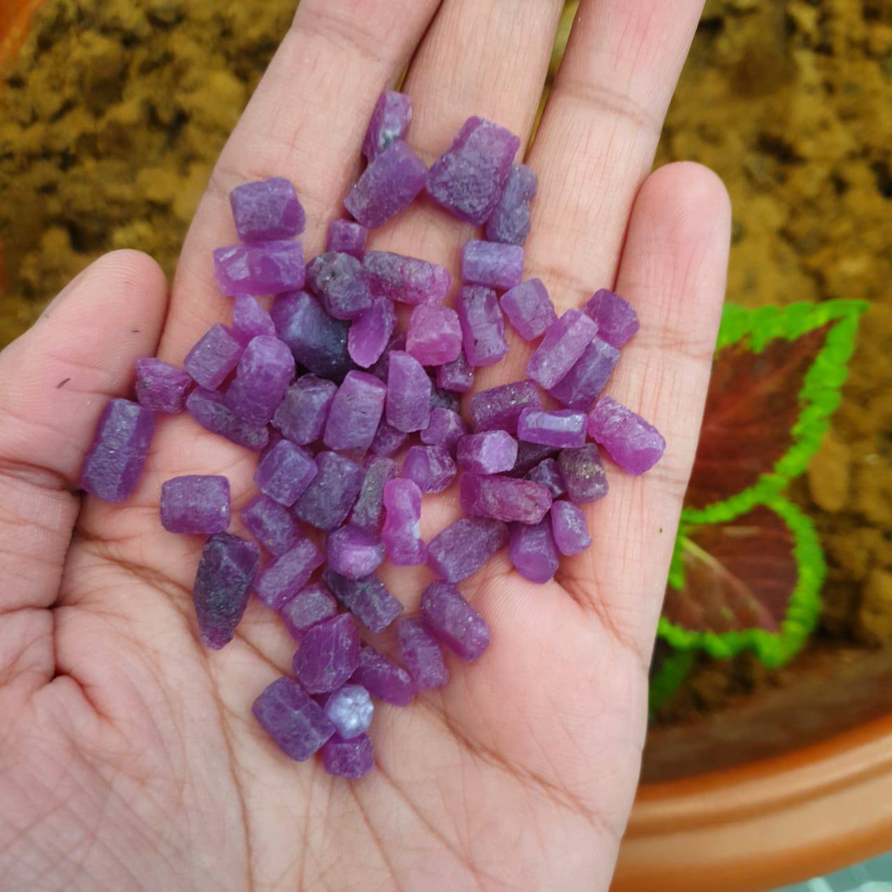 25 Pcs Natural Ruby Mineral | Untreated Old South African Mined | 7-12mm - The LabradoriteKing