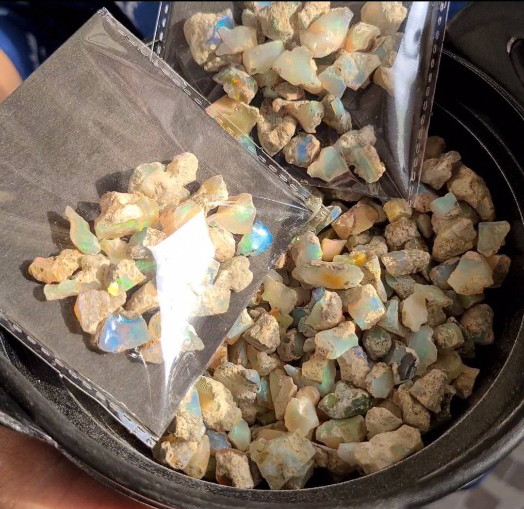 25 Pcs Opal Rough Minerals Untreated Ethiopian Mined | 11-23mm - The LabradoriteKing